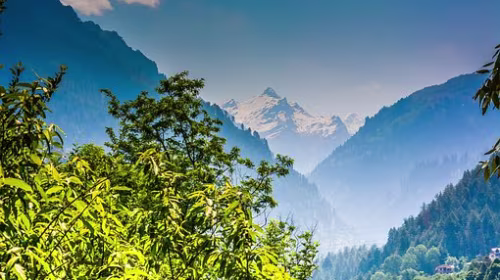 Rishikesh to Shimla Taxi Service
